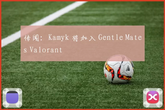 传闻：Kamyk 将加入 Gentle Mates Valorant