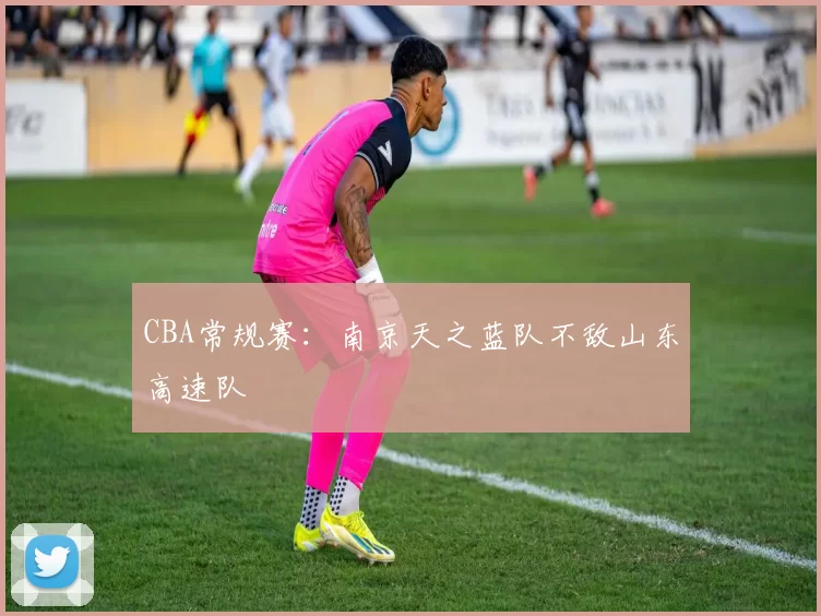 CBA常规赛：南京天之蓝队不敌山东高速队