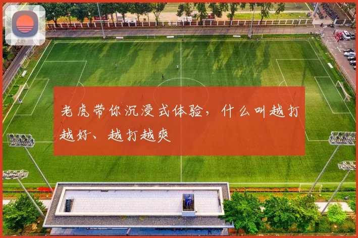 老虎带你沉浸式体验，什么叫越打越好、越打越爽