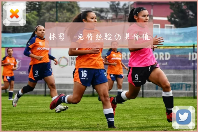林哲瑄老将经验仍具价值