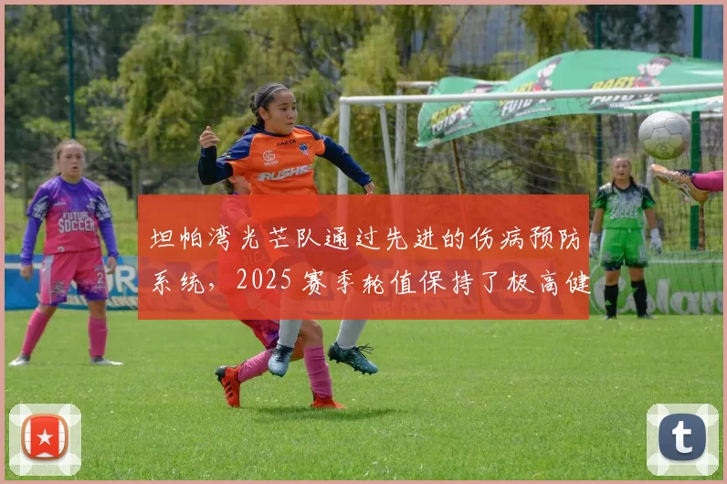 坦帕湾光芒队通过先进的伤病预防系统，2025 赛季轮值保持了极高健康度