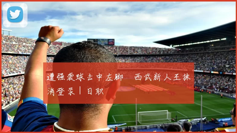 遭强袭球击中左脚　西武新人王抹消登录｜日职