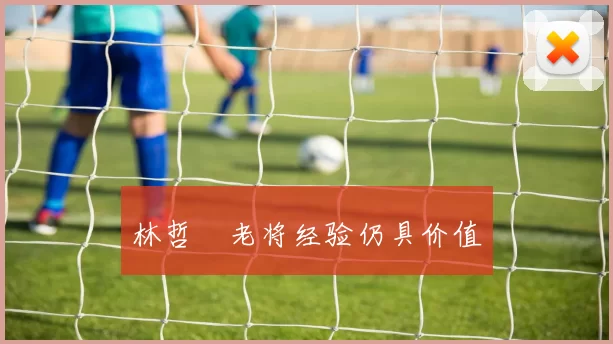 林哲瑄老将经验仍具价值