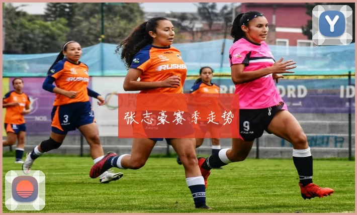 张志豪赛季走势