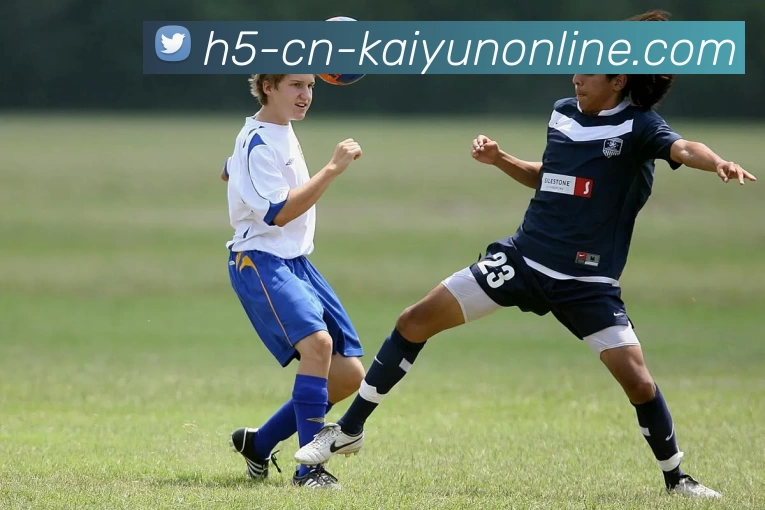 开云官网APP 高清赛事图